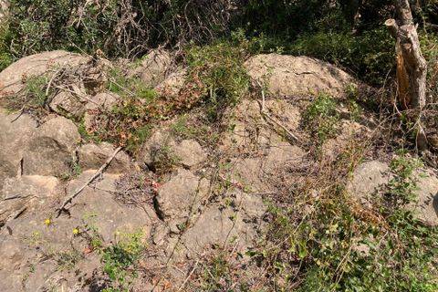 Landejendom i El Perello, Tarragona, El Perello - € 36.000 | Ref: Finca Montanas - foto 30